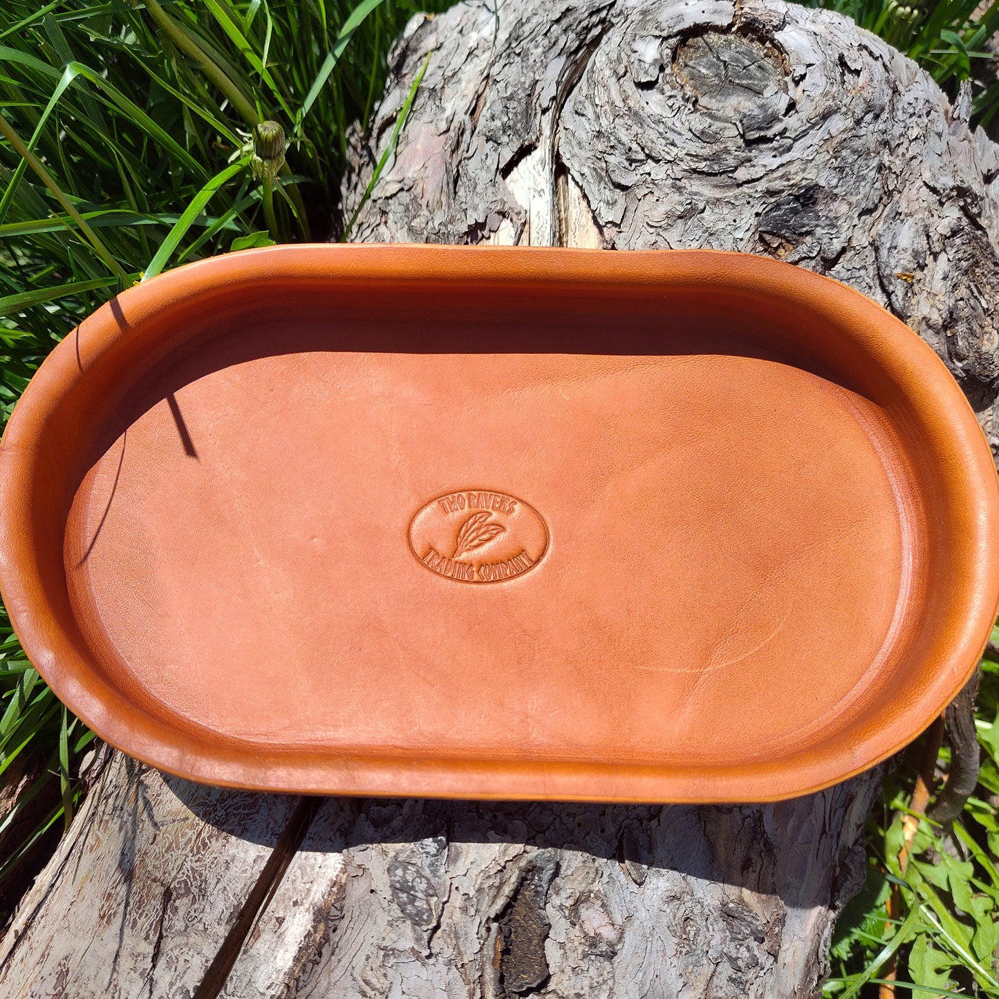 EDC/Dice Tray